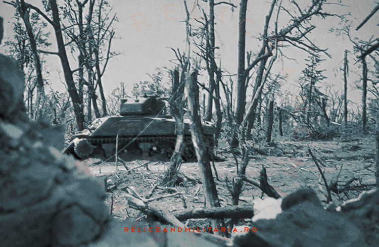 Destroyed Sherman tank near Stanca Castle where Wehrmacht 79 Infanterie Division fought in 1944 in Rumanien Jassy