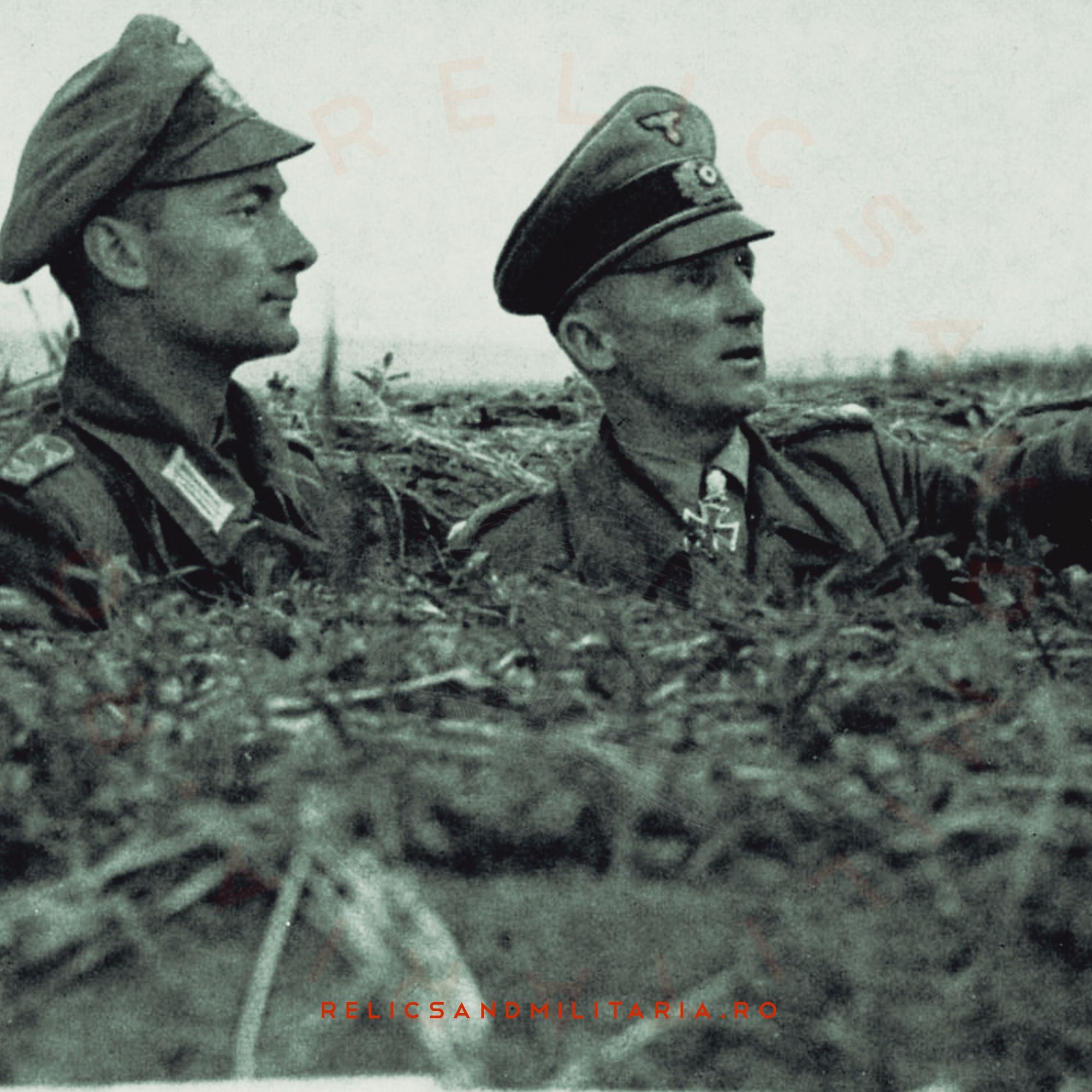 Wehrmacht in Romania WW2 Panzergrenadier Division Grossdeutschland