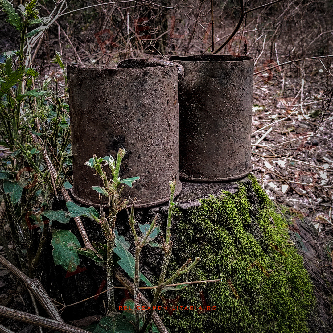 4 Red Army Russian WW2 Relics found metal detecting in Romania