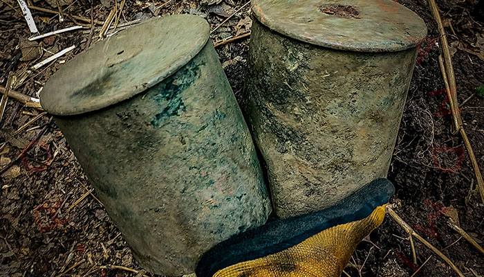 Metal detecting in Romania WW1 & WW2 relics